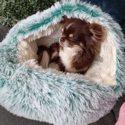 🐶cozycave😺 Premium Pet Bed 🔥49% SALE🔥