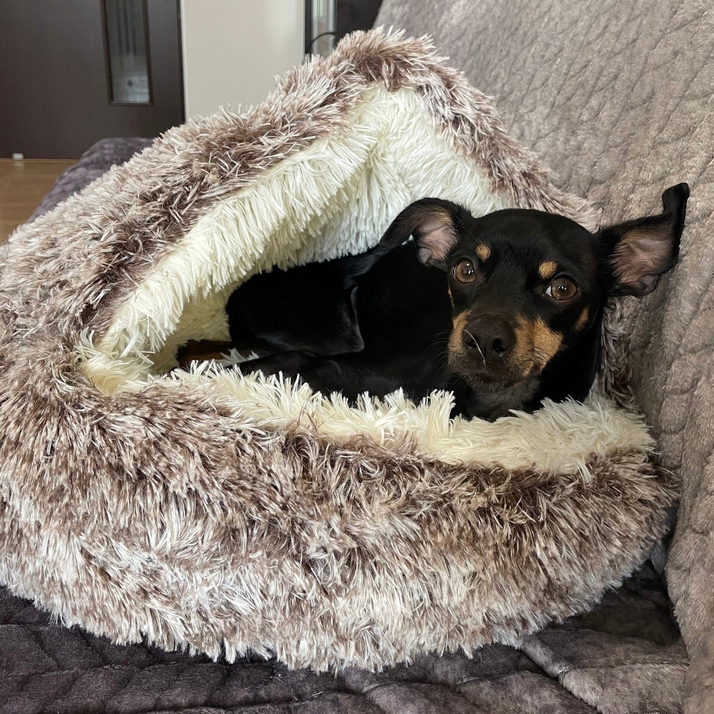 🐶cozycave😺 Premium Pet Bed 🔥49% SALE🔥