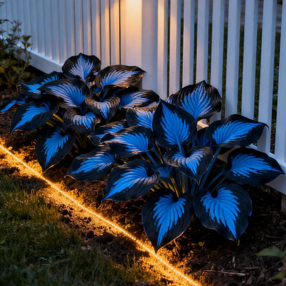 💥2025 Hot Sale 🌌Hosta Seeds Perennial Shade Plant for Garden