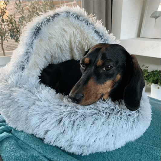 🐶cozycave😺 Premium Pet Bed 🔥49% SALE🔥